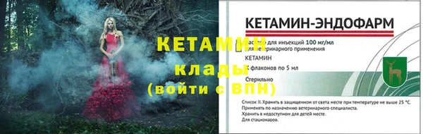 прущие грибы Тобольск