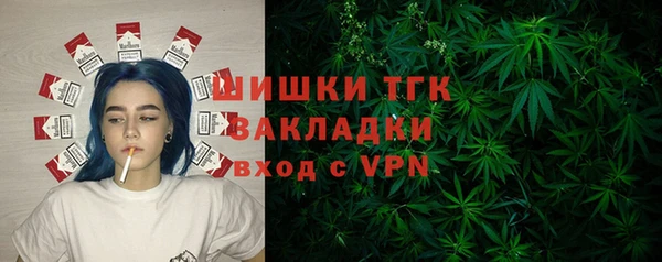 прущие грибы Тобольск
